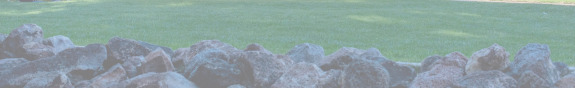 Faded Grass and Rocks Image